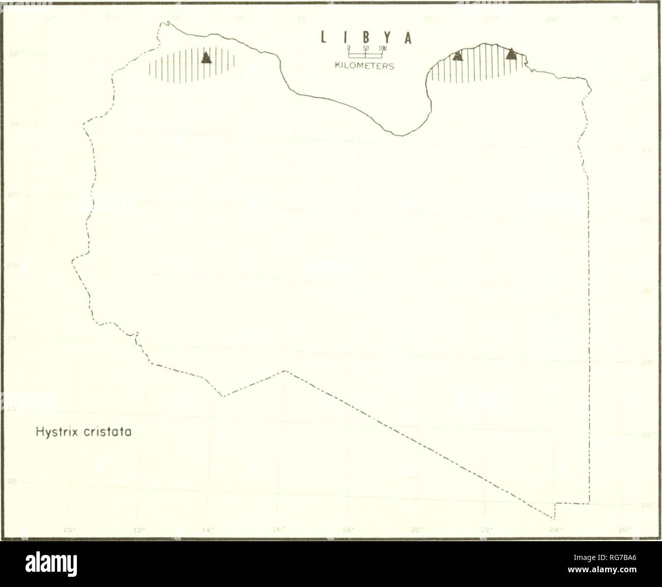 . Bollettino - Stati Uniti Museo Nazionale. La scienza. Roditori di Libia 251 Famiglia genere Hystricidae Hystrix Linnaeus Hystrix cristata Linnaeus Hystrix cristata Linnaeus, sist. Nat. Decimo ed., vol. 1, p. 56, 1758 (vicino a Roma, Italia). Commento. Non ho esaminato le eventuali esemplari libico dell'istrice, a giudicare dai pochi record disponibili in litera- ture, essi si verificano solo con parsimonia nelle zone di montagna vicino alla costa. Essi sono apparentemente sconosciuta dai deserti e oasi dell'interno.. La figura S3.-note località di occorrenza di Hystrix cristata. Mentre eravamo accampati nel Gebel e Foto Stock