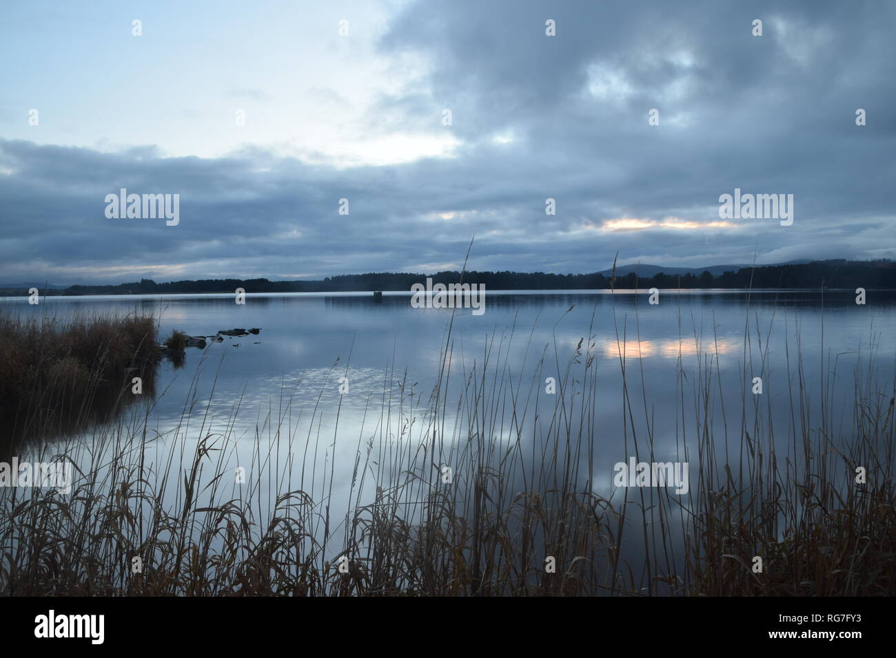 Loch di Skene, Dunecht, Westhill, Aberdeenshire, Foto Stock