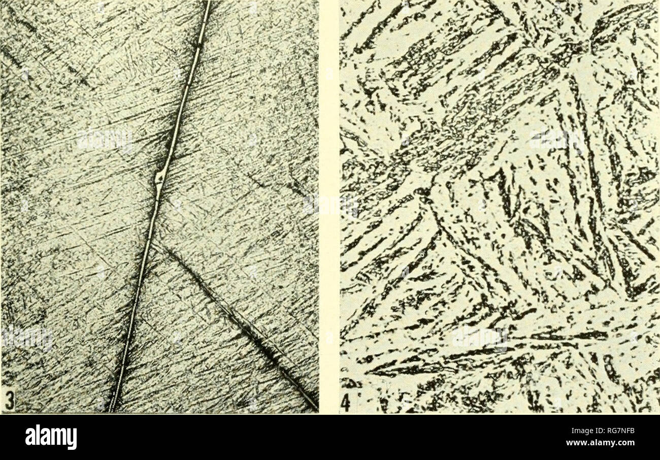 . Bollettino - Stati Uniti Museo Nazionale. La scienza. U. S. MUSEO NAZIONALE BOLLETTINO 184 la piastra 10 f 3 -'0 .0 v' i .â"¢/ , r '' â"¢^ â / .â ¢ ,K ',' V â¢I . 2'. Di Cincinnati. Locust Grove e primitiva meteoriti.. Si prega di notare che queste immagini vengono estratte dalla pagina sottoposta a scansione di immagini che possono essere state migliorate digitalmente per la leggibilità - Colorazione e aspetto di queste illustrazioni potrebbero non perfettamente assomigliano al lavoro originale. Stati Uniti Museo Nazionale; Smithsonian Institution; Stati Uniti. Dipartimento dell'Interno. Washington : Smithsonian Institution Press, [ecc. ]; In vendita da t Foto Stock