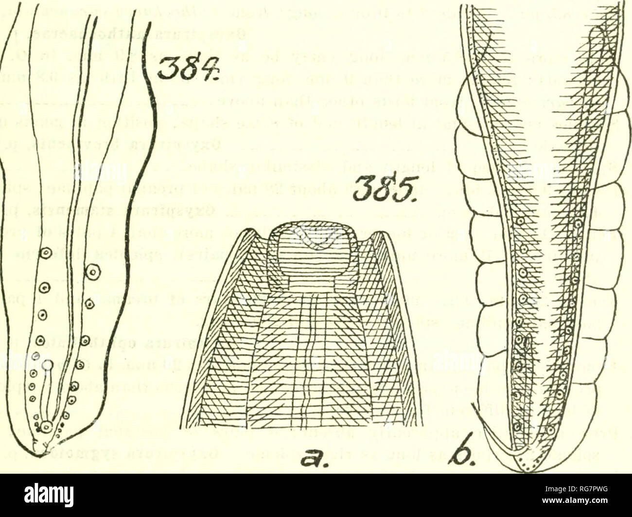 Diagnosi GENERICA