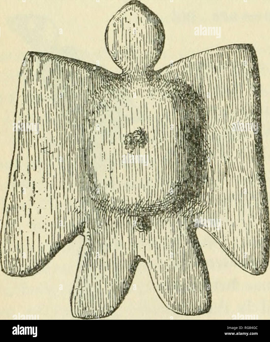 . Bollettino - Stati Uniti Museo Nazionale. La scienza. 214. 215. Figg, 214, 215.-marionetta uccelli op Hopi indiani, Arizons.. un personale. Quest'ultima forma è rappresentata in Messico, dove è con- nesso con la leggenda di migrazione in cui le tribù si sono detti per sono state guidate da un favoloso uccello. Il Lienzo de Jucutacato - illustra l'uccello guida montata su un personale che sembra essere stata spinta nel terreno al termine di ogni fase di migra- tion, in cui Tarascans e otto tribù messicano emergono dalle sette grotte in occidente e, guidato dall'uccello, cercano il loro sedi finale in Mexi Foto Stock