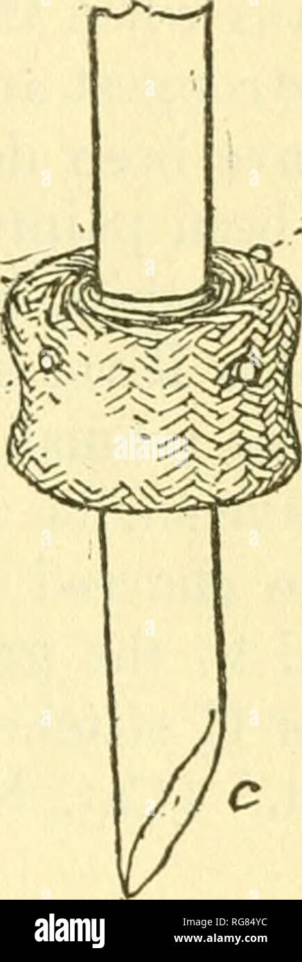 . Bollettino - Stati Uniti Museo Nazionale. La scienza. ^ 2&GT; Fig. 181.-Basketry criiiNDER da Bear Creek Grotta. Un solo esemplare di questo personaggio è stato trovato nelle grotte visitate dalla Museum-Gates Expedition. Il diametro di 4 cm; altezza 2| pollici. Il lavoro di pannolino.-i campioni sono costituiti da tubi di agave levetta cov- ered con basketry, gli elementi in due colori che si intrecciano per formare configurazioni. (Vedere figg. 329 e 331). La più vicina basketry di questo personaggio è trovato 1.500 miglia di distanza, nei pressi della foce del fiume Mississippi, tra i Chetimacha e Guerre indiane tribù. Questo è il primo campione o Foto Stock