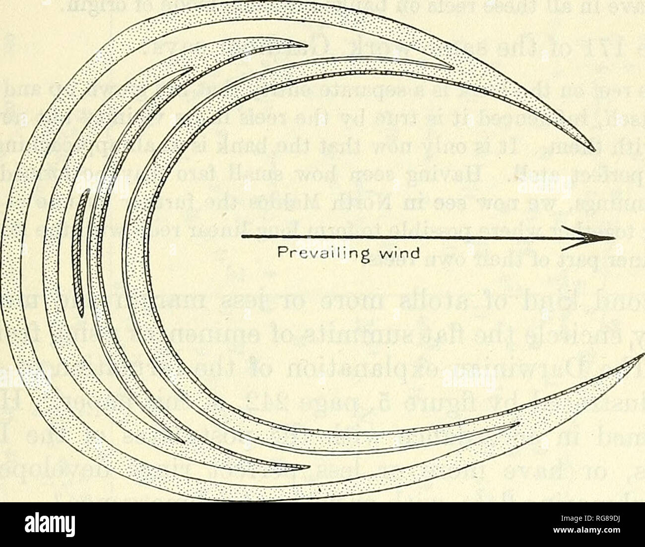 . Bollettino - Stati Uniti Museo Nazionale. La scienza. Geologia e Paleontologia della zona del canale. 313 portati dai torrenti in mare prima del la sommersione dopo che il living coralline hanno formato ? A meno che il sedimento è stato consegnato al mare così rapidamente che una pianura costiera spinto in avanti al di là del Interstream, primo operatore su questo mercato divide come per proteggerli da attacchi dal mare, le loro estremità seaward dovrebbe essere stata cliffed, dovrebbe l'appartamento sono state formate nel modo suggerito. Che cosa sono i profili di sottomarino spento lo sperone finisce? Ci sono le scogliere sommerse a dividere suggerimenti? Uno di Agassiz's illustrazioni1 ri Foto Stock