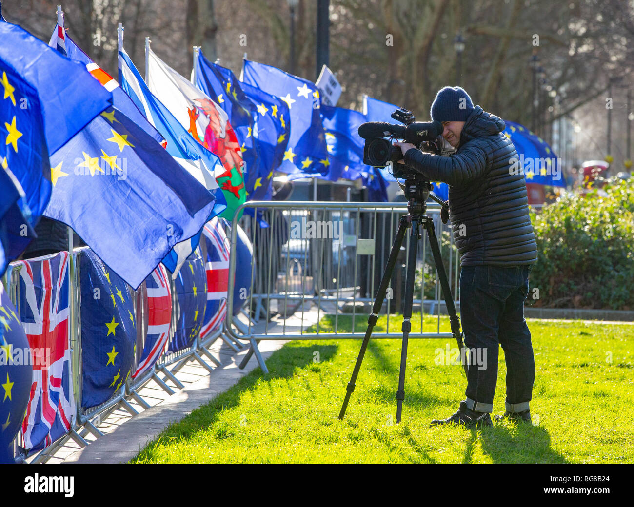 Londra, Regno Unito. 28 gen, 2019. Pro Unione europea bandiere sul College Green in Westminster un giorno prima di un altro fondamentale Brexit votazione. Il parlamento del Regno Unito avrà luogo un dibattito e la votazione su un "piano B" Brexit piano da Theresa Maggio il governo il 29 gennaio, è stato annunciato il giovedì. Maggio ha subito una delle più grandi sconfitte in British storia politica all' inizio di questa settimana, quando il suo accordo di ritiro - negoziato per due anni con l'UE - è stato sconfitto da 230 voti Credito: Tommy Londra/Alamy Live News Foto Stock