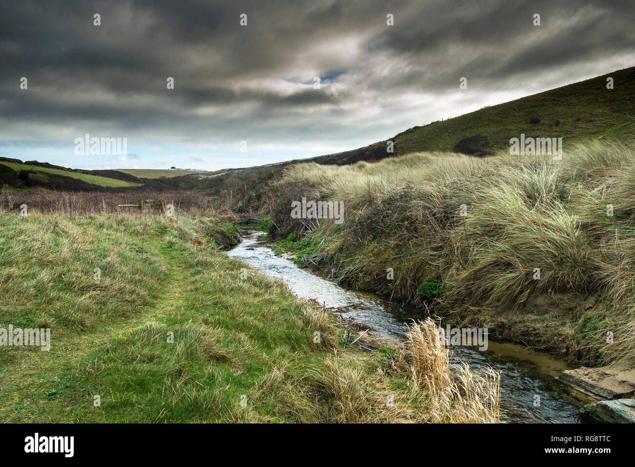 Un piccolo fiume ruscello che scorre in una appartata Polly Porth scherzo cove in Newquay Cornwall. Foto Stock