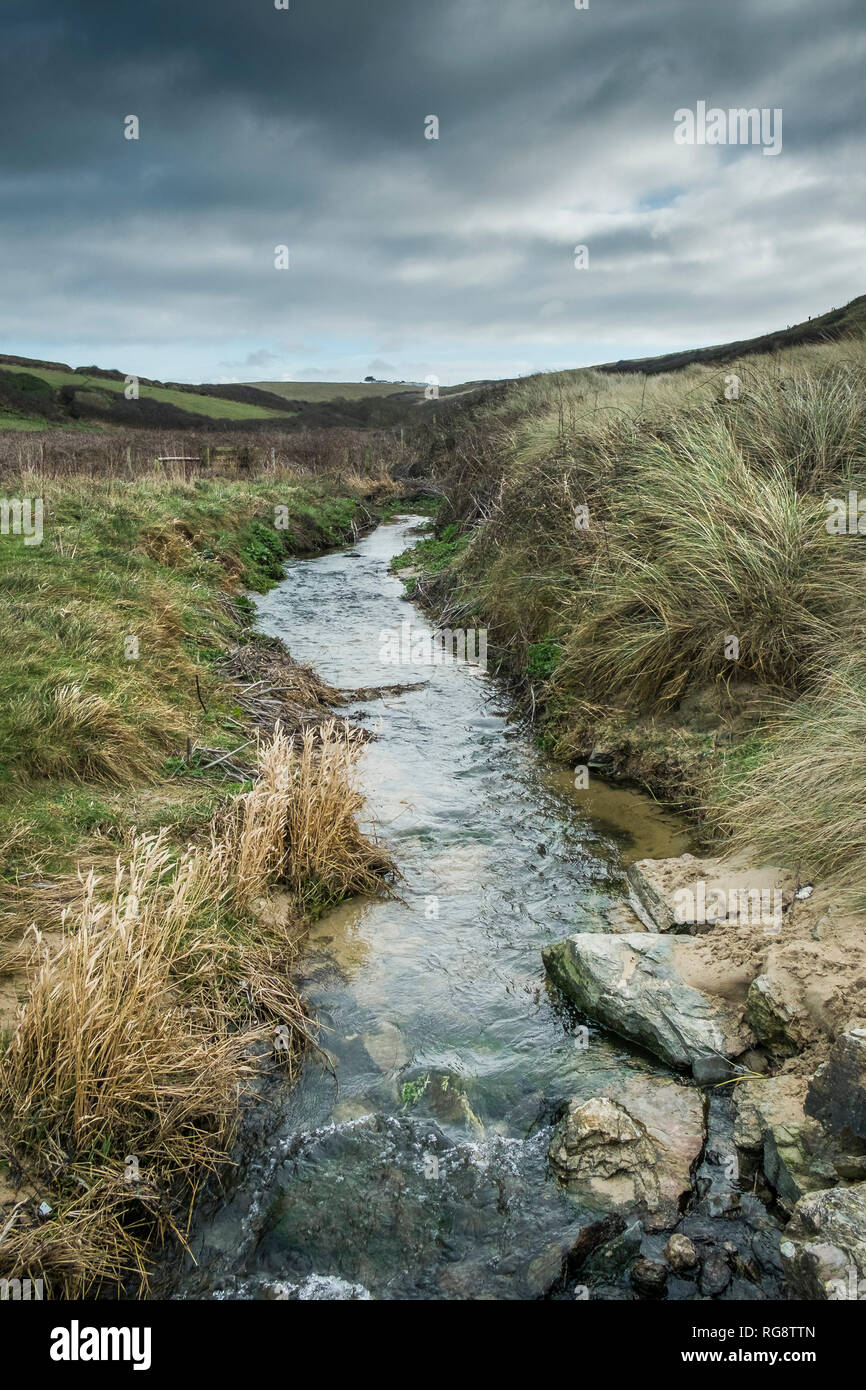 Un piccolo fiume ruscello che scorre in una appartata Polly Porth scherzo cove in Newquay Cornwall. Foto Stock