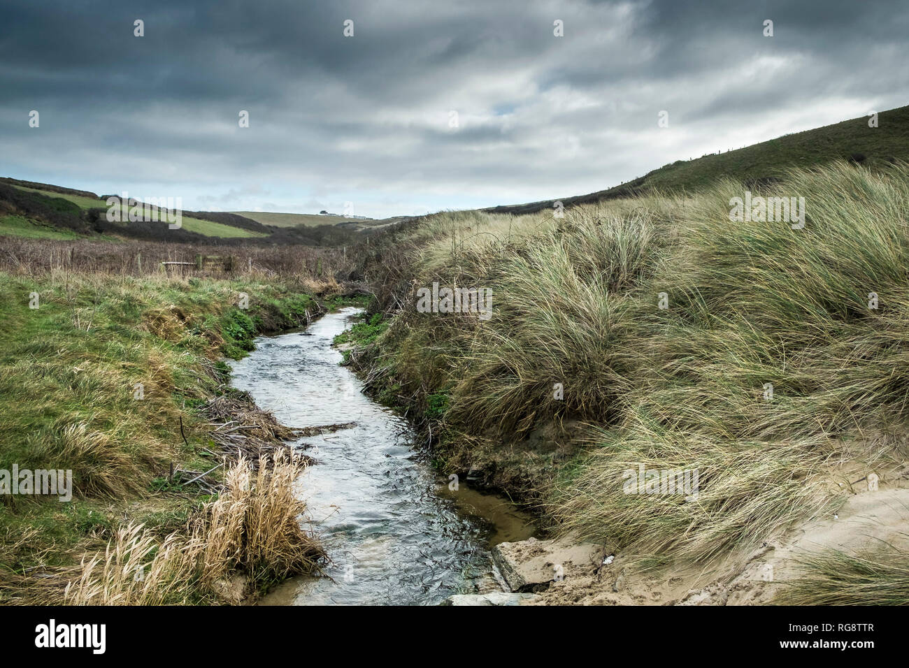 Un piccolo fiume ruscello che scorre in una appartata Polly Porth scherzo cove in Newquay Cornwall. Foto Stock