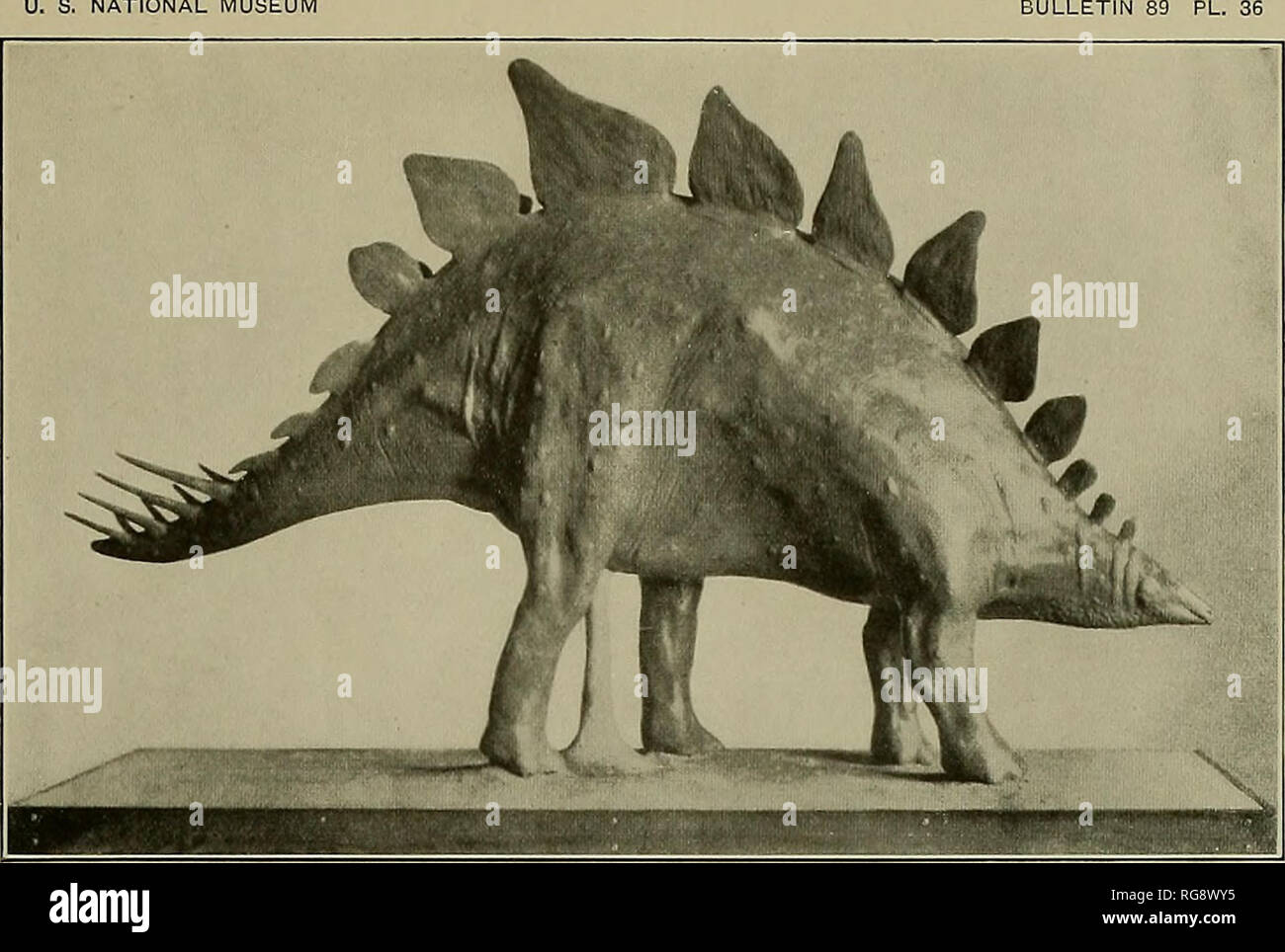 . Bollettino - Stati Uniti Museo Nazionale. La scienza. U. S. MUSEO NAZIONALE BOLLETTINO 89 PL. Si prega di notare che queste immagini vengono estratte dalla pagina sottoposta a scansione di immagini che possono essere state migliorate digitalmente per la leggibilità - Colorazione e aspetto di queste illustrazioni potrebbero non perfettamente assomigliano al lavoro originale. Stati Uniti Museo Nazionale; Smithsonian Institution; Stati Uniti. Dipartimento dell'Interno. Washington : Smithsonian Institution Press, [ecc. ]; Per la vendita dalla Supt. di Docs. , Brevetto U. S. Govt Stampa. Off. Foto Stock