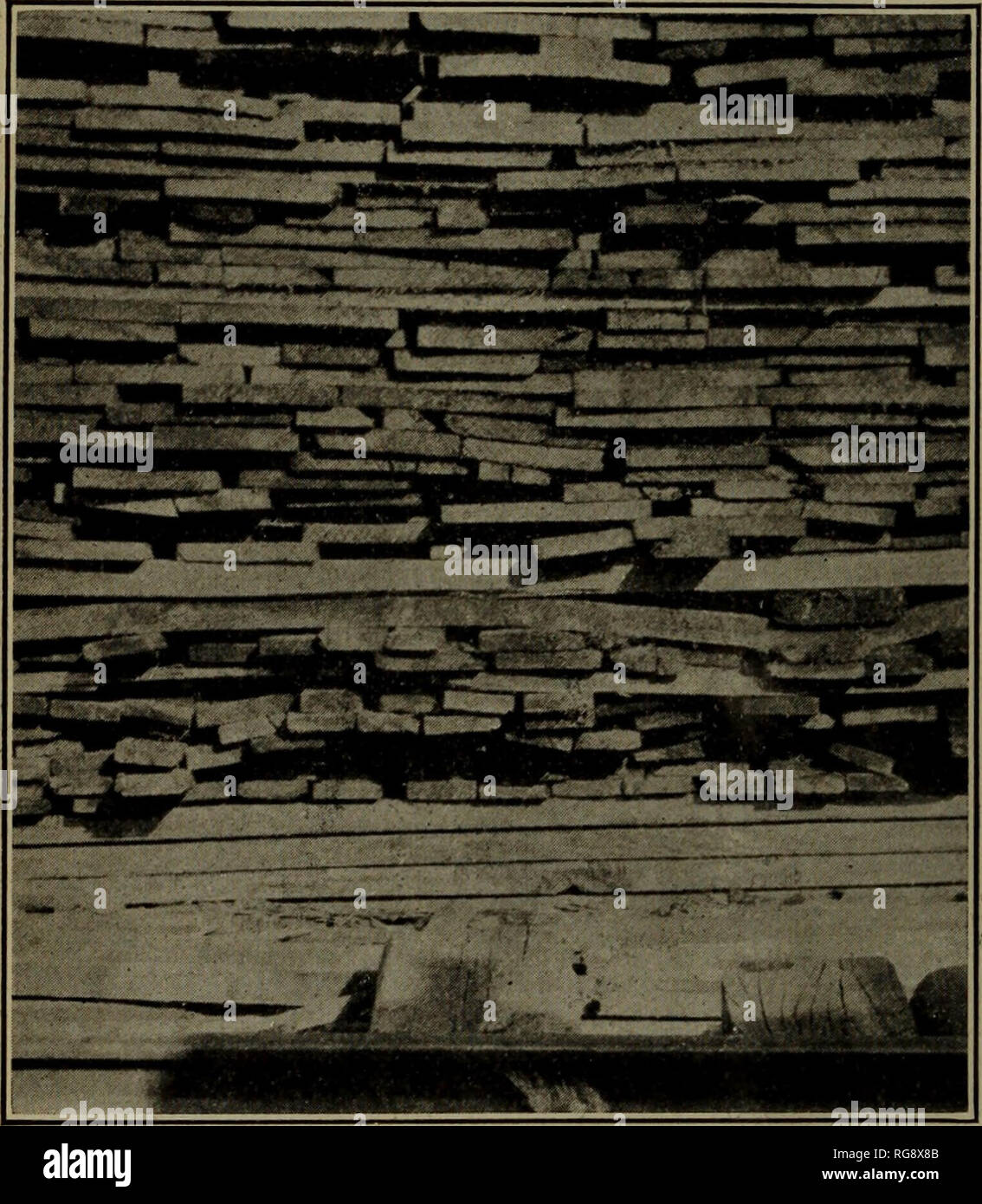 . [Bollettini sulla patologia della foresta : dal bollettino U.S.D.A., Washington, D.C., 1913-1925]. Alberi; malattie delle piante. 16 Bollettino 510, U. S. Department OP l'agricoltura. Da 1 a 2 piedi (fig. 16) o impostare su brevi messaggi. Alcuni dei migliori frantoi fanno uso di calcestruzzo Piloni per questo scopo. Quest'ultimo tipo di fondazione sarebbe notevolmente migliorata mediante l'uso di cordoli trattata con un preservante del legno. I pericoli derivanti da parzialmente decomporsi fondazioni sono evidenti, come si è visto dalla precedente discussione sulle attività di legno- distruggere i funghi. Nel caso in cui i blocchi di legno sono usati per sostenere i pattini, fung Foto Stock