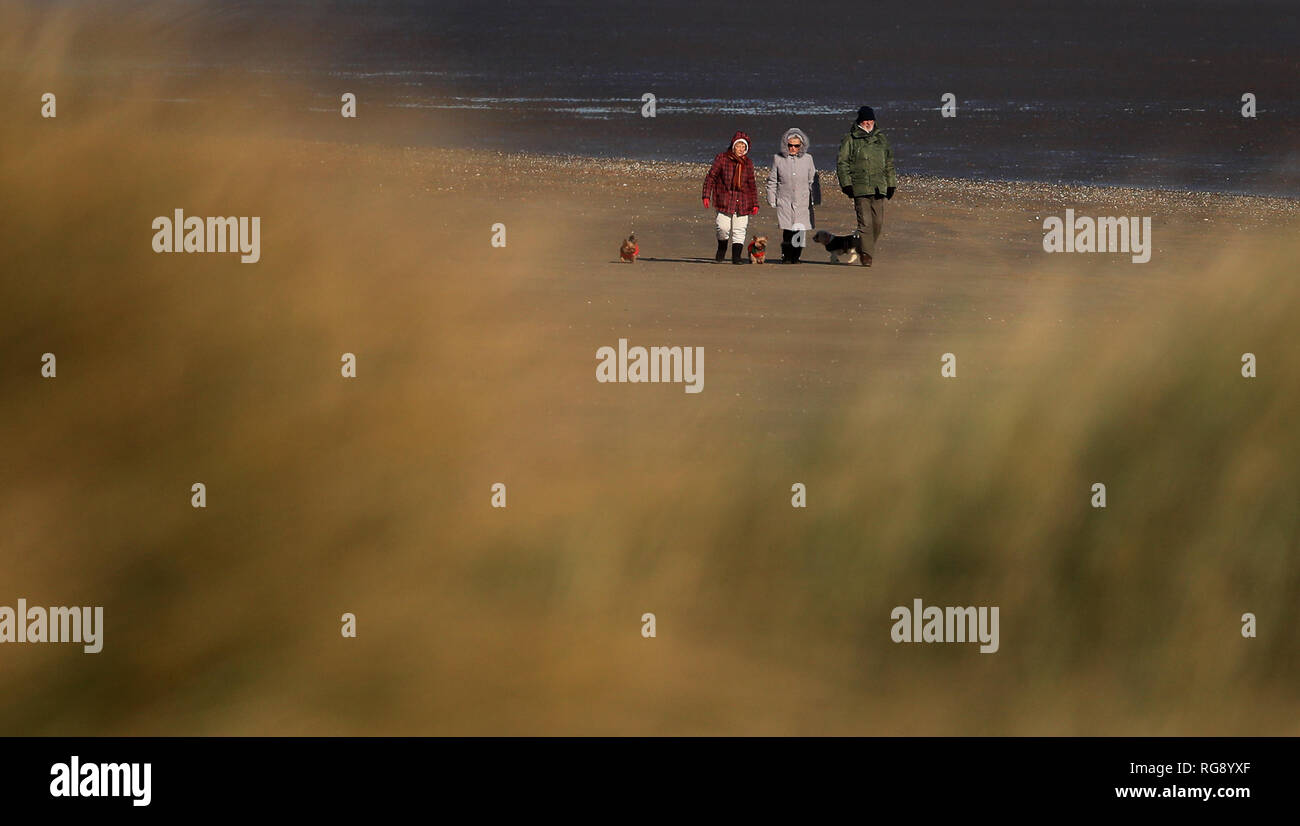 La gente a piedi i loro cani al sole sulla spiaggia di Greatstone, Kent, come forecasters predire la neve per le regioni del sud a partire da domani. Foto Stock