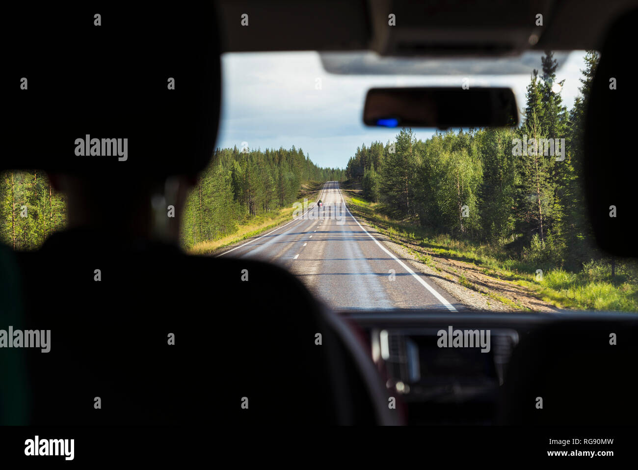 Finlandia, Lapponia, vista interna dell uomo alla guida di auto nel paesaggio rurale Foto Stock