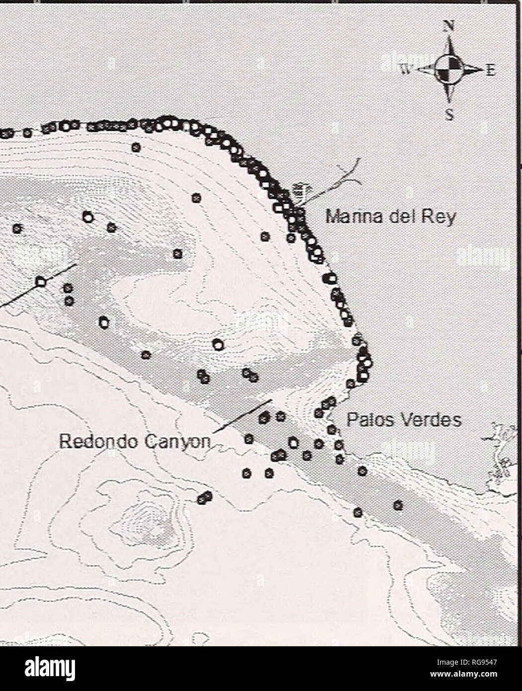 . Bollettino - il sud dell'Accademia delle Scienze della California. La scienza. Cirripedi sul tursiope 39 34Â°0'0"N- â ¢ â ¢ 119Â°00-W â s^pSr Dome SatrtaMereca Canyon Canyon. Santa Barbara island^- Caia sna isola 34Â°0'0"N 33S40'0'N 33Â°30'0"n Fig. 1. Area di studio e la distribuzione delle acque costiere e offshore, i delfini nella baia di Santa Monica e nelle acque adiacenti. Ogni simbolo (cerchio bianco: avvistamenti con cirripedi; cerchio grigio: avvistamenti senza cirripedi) iniziale rappresenta le coordinate GPS della foto-identificato il tursiope o delfino maggiore avvistamenti. sistema di identificazione (1997-2002; Finsc Foto Stock