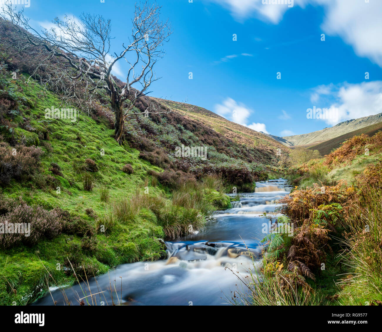 Gran Bretagna, Inghilterra, Derbyshire, Peak District, Fairbrook in autunno Foto Stock