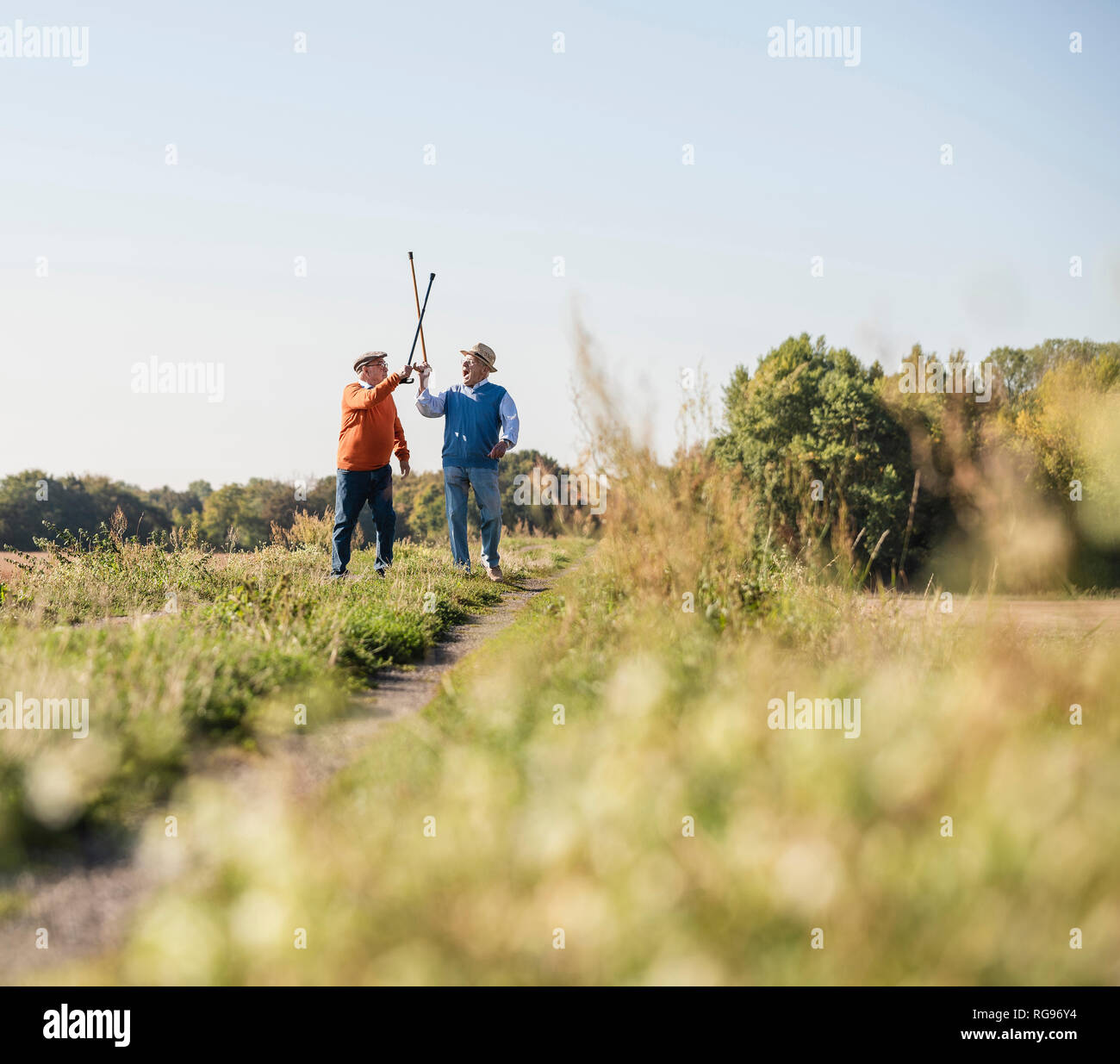 Due vecchi amici scherma nei campi con i loro bastoni da passeggio Foto Stock