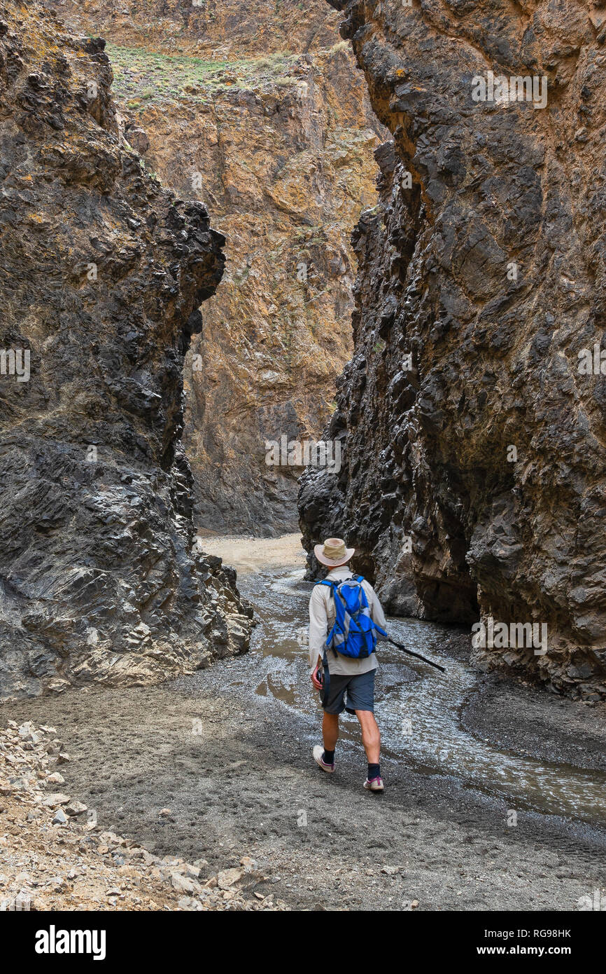Uomo che cammina in Dungenee Gorge, Gobi Gurvansaikhan National Park, deserto dei Gobi e Mongolia Foto Stock
