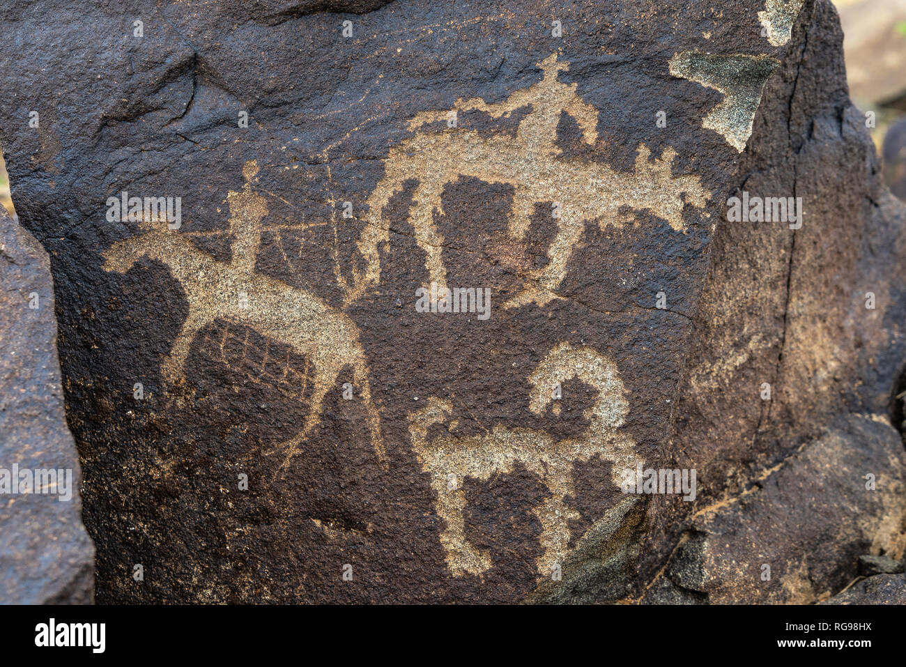 Antiche incisioni rupestri sulle rocce, Khavstsgait, deserto dei Gobi, Omnogovi, Mongolia Foto Stock