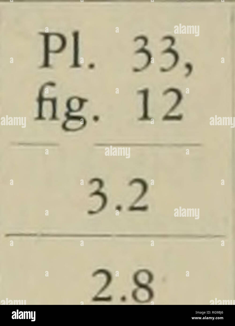 . Bollettini di American paleontologia. 274 Bollettino 173 MISURAZIONI DI OPERCULINOIDES WILLCOXI (HEILPRIN) sezioni mediane località 4.5 miglia ad ovest di Williston, Fla. 108, Panama campione PI. 33, fig. 9 Altezza ... mm. 3.15 Larghezza ...mm. 2.8 camere embrionali: diametri della camera iniziale /* 100x130 diametri della seconda camera /* 100x160 Distanza attraverso entrambe le camere i" 250. 3.5 3.1 PI. 33, fig. 11 PI. 33, fig. 10 3,5 3,35 2,97 3:25 100x130 175x175 130x140 90x90 70x120 • 70x170 75x130 vortici 41/4 200 250 230 50x90 140 4,5 43/4 43/4 51/2] Camere in prima rivoluzione 10 10 10 8 11 camere in f Foto Stock