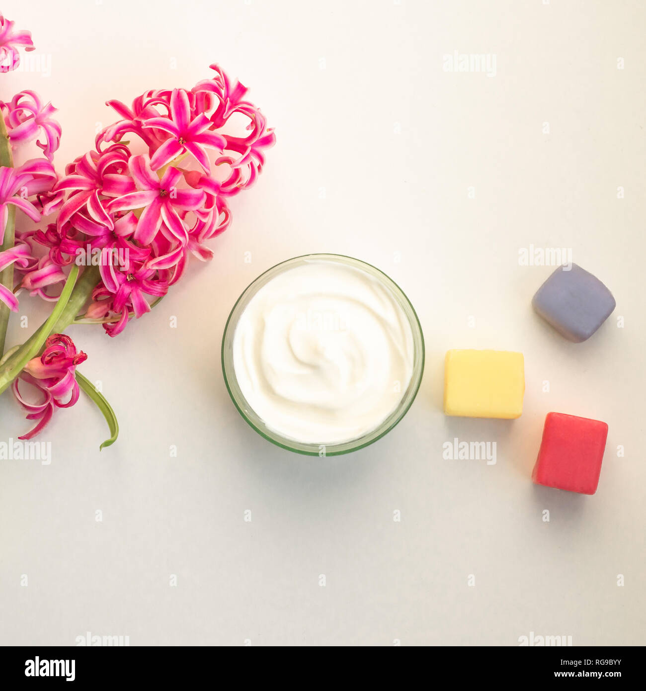 Impianto di casalinghi cosmetici a base di Foto Stock