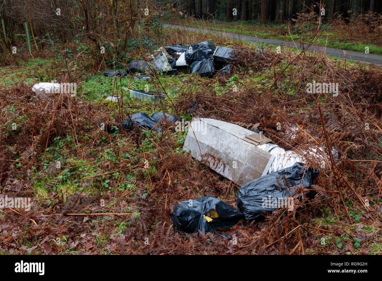 Illegale di fly-ribaltamento in ambiente rurale del Norfolk, campagna, UK. Il nero dei sacchi di rifiuti domestici e materiali aggiuntivi. Foto Stock