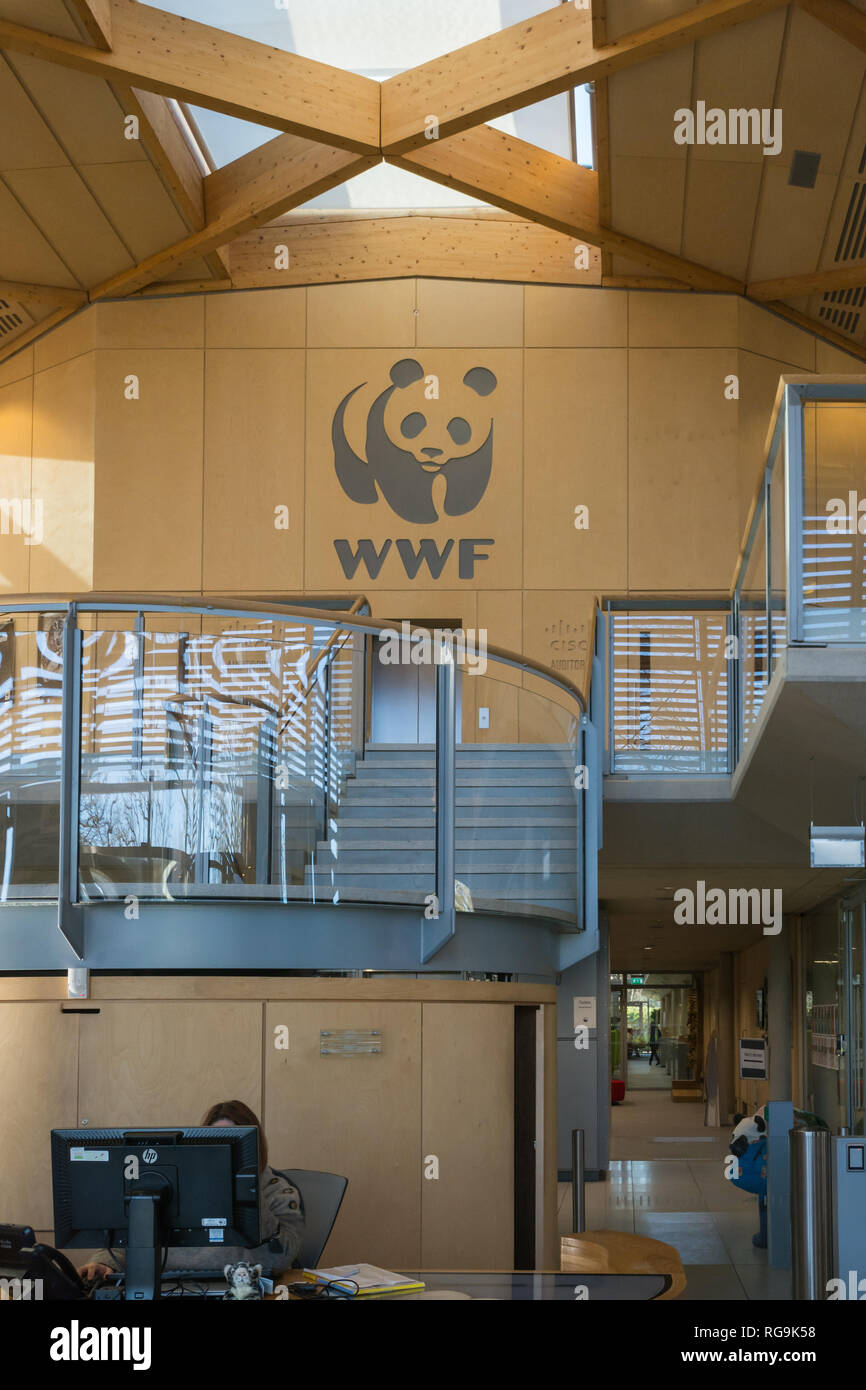 Interno del Living Planet Center, la casa del WWF UK (World Wildlife Fund) di Woking, Surrey, Regno Unito Foto Stock
