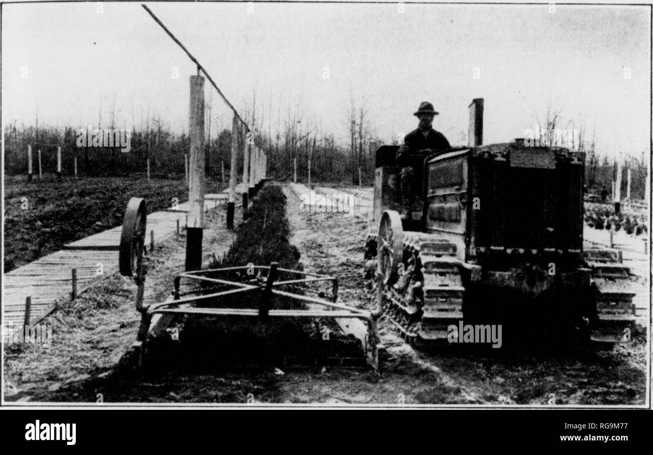 . Bollettino (Pennsylvania Dipartimento delle foreste e delle acque), n. 46-50. Le foreste e la silvicoltura. 26 Essi in scatole per il trasporto a fossa di stoccaggio. Un commerciale sliiub digger, con una lama ad U, è nsed per sollevare i trapianti e lai^^er alberi. Questo attrezzo non solo scava alberi clieai&GT;ly, ma anche solleva tutta la sistemi di radice. Essa dà molto più saisfactory risultati che possono essere ottenuti mediante l'uso di un badile o forcella. Cinque mila metri cubi di piccoli alberi della fossa di stoccaggio o in cantina menzionata è una porzione del piano interrato del capannone di imballaggio, racchiuso con muri in pietra e avente un pavimento earthcii Foto Stock