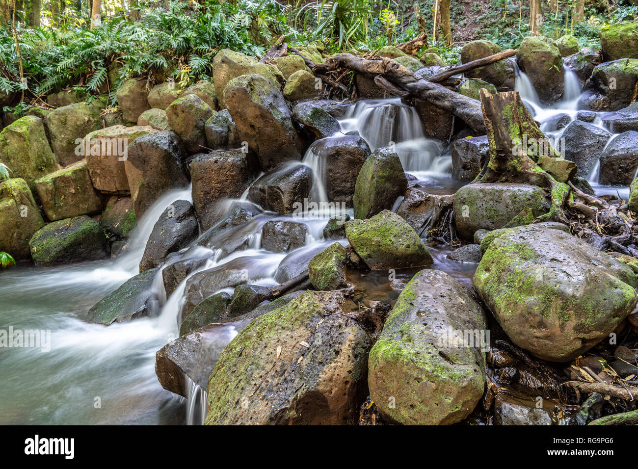 L'acqua che cade su una roccia, la piccola scende al di sotto del Segreto cade, segreto inferiore cade, North Fork Fiume Wailua, Kauai Foto Stock