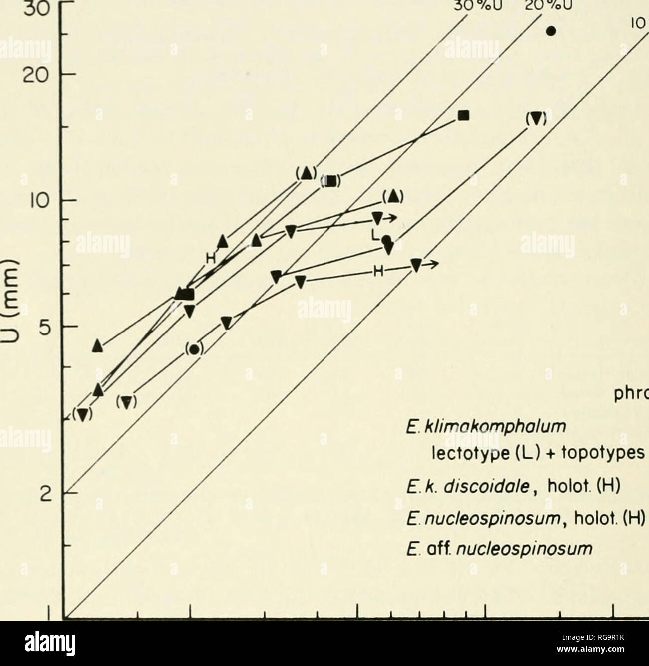 . Bollettini di American paleontologia. 76 Bollettino 255 30 %U 20 %U. VoU phrogm. E klimakomphalum • lectotype (L) + topotypes E.k.discoidale, hooV{H) ? Enucleospinosum, hooV{H) ? E off. nucleospinosum m 10 20 50 D (mm) 100 200 300 Text-fig. 22. Scatter - con linee di crescita per la relativa larghezza ombelicale {U:D) di Eudrrutocrras (Eiiaptrtocrras) spp., phragmocones. Nota La modifica da ampiamente iimbiiicate ju'enile ^vhorls ad evolvente vortici maturo a 30-40 mm D e la stretta somiglianza tra E. (E.) klimakomphalum (Vacek) s.s. e E. (E.) klimakomphalum discoiJalr, n. subsp., mentre E. (E.) nucleo Foto Stock