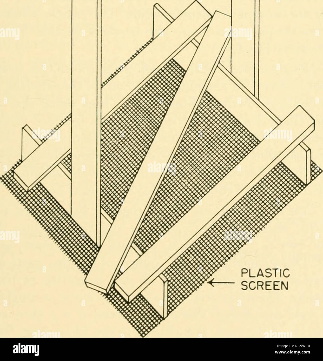 . Bollettini di American paleontologia. . Lo schermo in plastica FIG.I- LUCITE vassoio di attacco di Fig. 1. Schizzo di plexiglass e plastica acido dello schermo resistente rack di attacco chimico per il trattamento di piccoli, differenzialmente silicified blocchi di pietra calcarea. Si prega di notare che queste immagini vengono estratte dalla pagina sottoposta a scansione di immagini che possono essere state migliorate digitalmente per la leggibilità - Colorazione e aspetto di queste illustrazioni potrebbero non perfettamente assomigliano al lavoro originale. Ricerca paleontologico istituzione (Ithaca, N. Y. ); Columbia University. Ithaca, N. Y. , Paleontologico Istituto di ricerca [ecc. ] Foto Stock