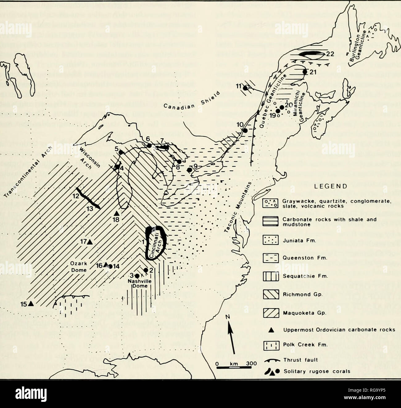 . Bollettini di American paleontologia. Ordovician Rugose coralli: Elias legenda. o.* Una mi grovacca, quarzite, conglomerato. Â â ¢ ^ IO HO - Â°l ardesia, rocce vulcaniche te rocce con shale e Juniata Fm. Oueenston Fm. [| I II Sequatchie Fm. [^ Richmond Gp. Y/'J^ Maquoketa Gp. In alto Ordovician carbonato di rocce che io Polk Creek Fm. Anomalia di spinta ^U# solitaria coralli rugose Text-figura 2.âLatest Ordovician paleogeography e lithofacies in Nord America orientale. Rugose solitaria i coralli sono l^nown dall'expo- sures nelle aree numerate. . Cincinnati Arch regione. In Ohio. Indiana e Kentucky 2. Burkesvill Foto Stock