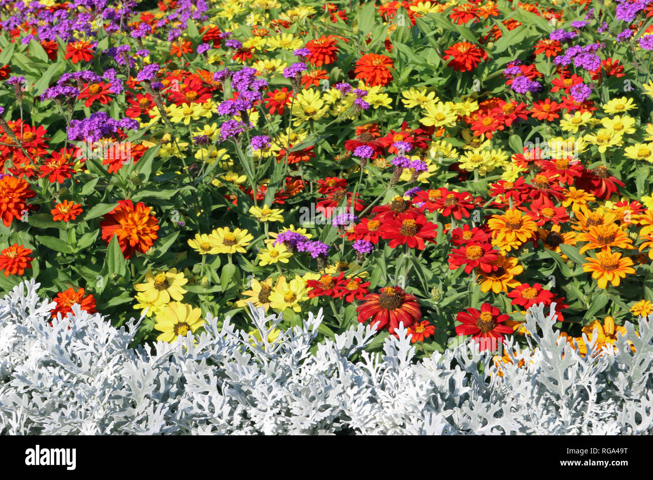 Summer Flower lettiera display con una vasta gamma di colori e fiori e fogliame in sfumature di giallo, arancio, rosso, viola e grigio in un parco. Foto Stock