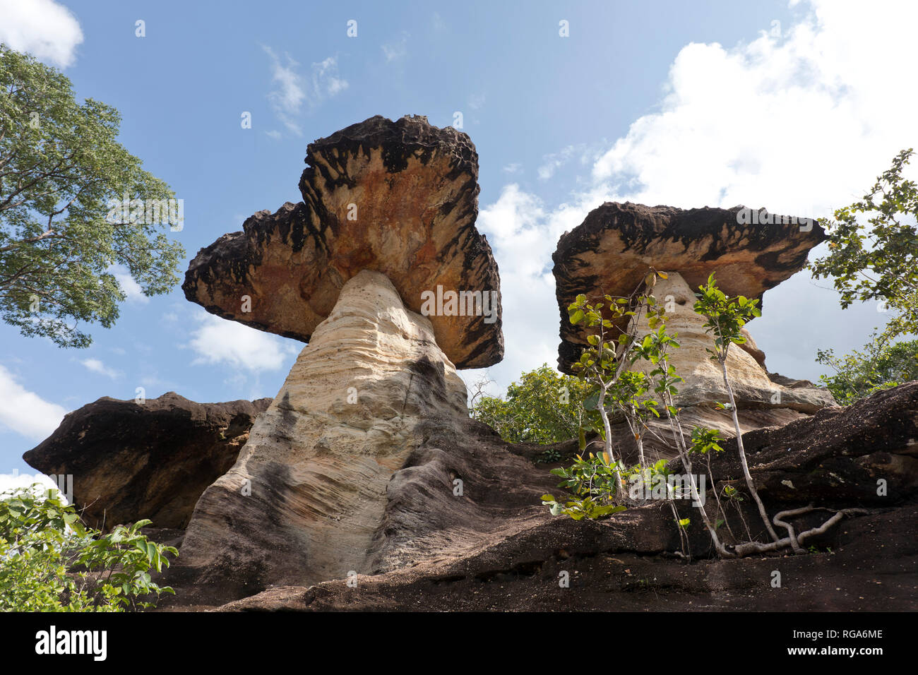 Thailandia, Ubon Ratchathani, Pha Taem National Park, formazione di roccia Sao Chaliang Foto Stock