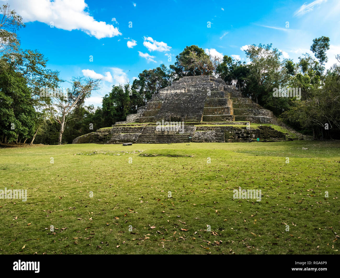 America centrale, il Belize, la penisola dello Yucatan, New River, Lamanai, Maya rovina, Jaguar tempio Foto Stock