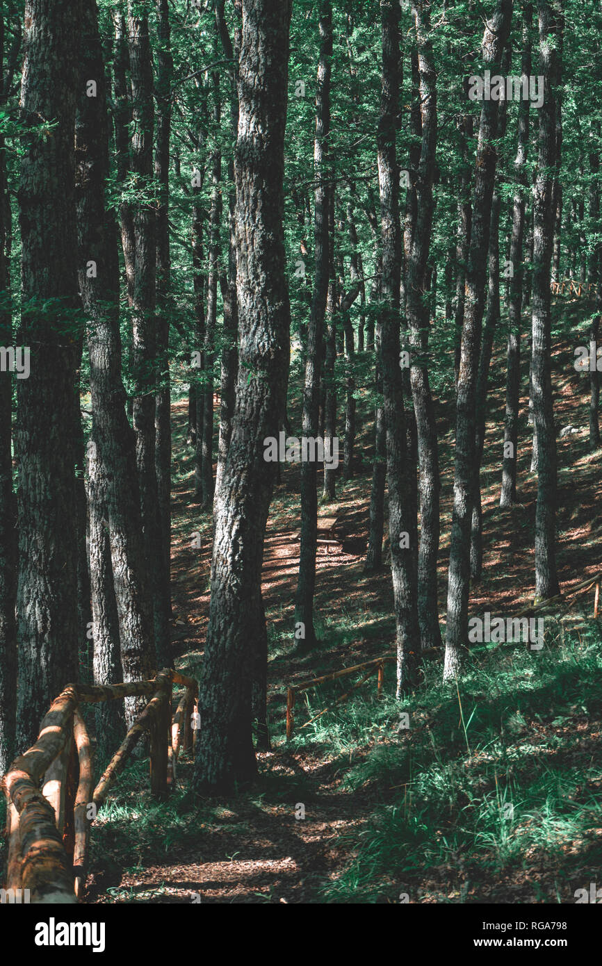 Il Parco Nazionale del Pollino Foto Stock