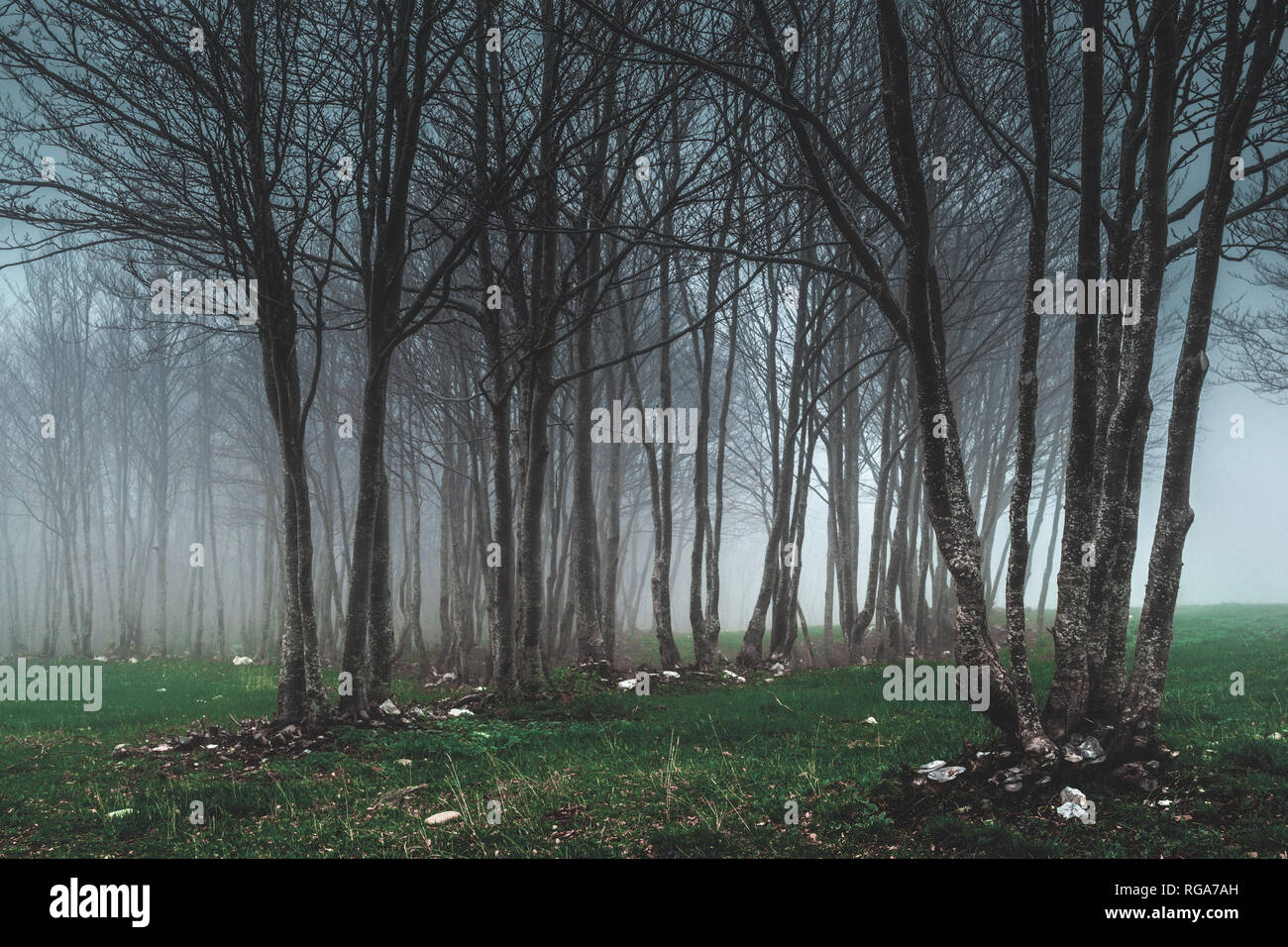 Il Parco Nazionale del Pollino Foto Stock