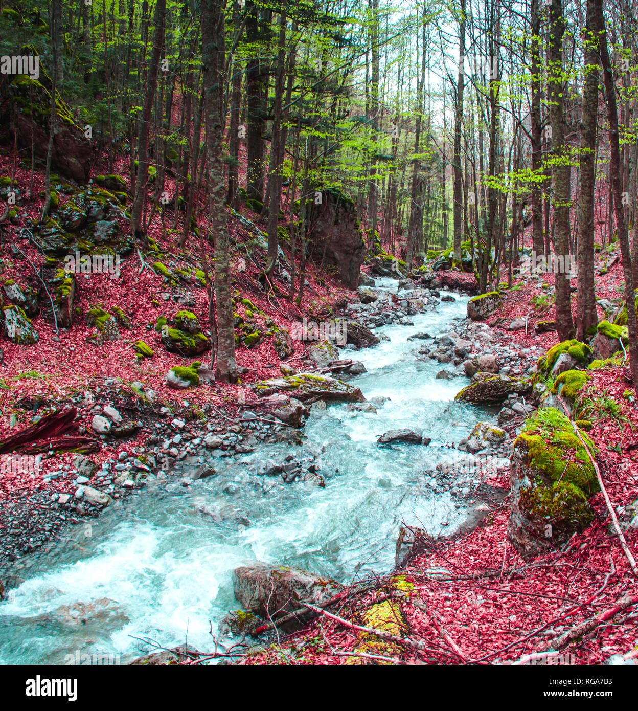 Autunno nel Parco Nazionale del Pollino, Italia Foto Stock