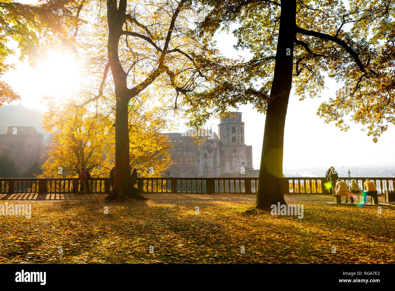 Germania Baden-Wuerttemberg, Heidelberg, Castello di Heidelberg, giardino di un palazzo in autunno Foto Stock