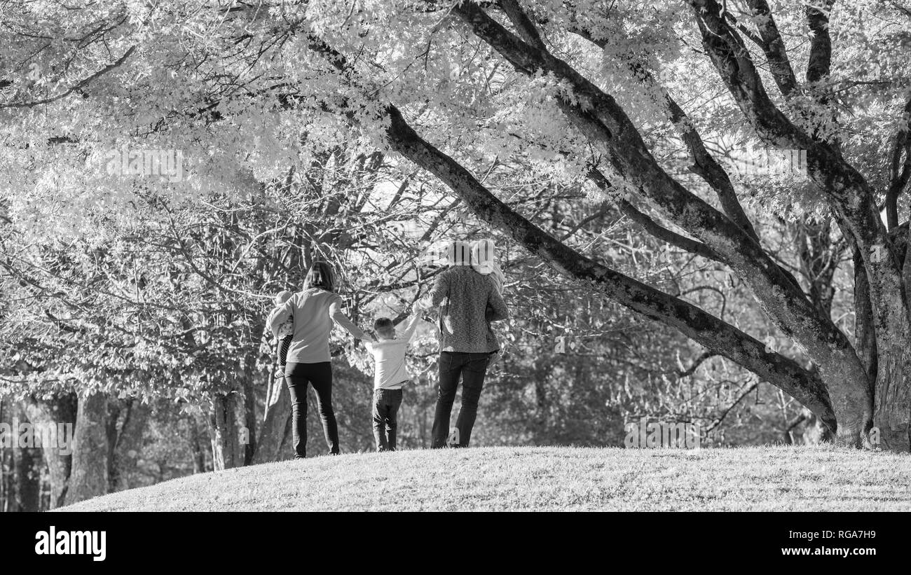 Immagine in bianco e nero di famiglia di cinque godendo del tempo insieme in un parco, genitori sollevando il più antico bambino tiene le mani. Foto Stock