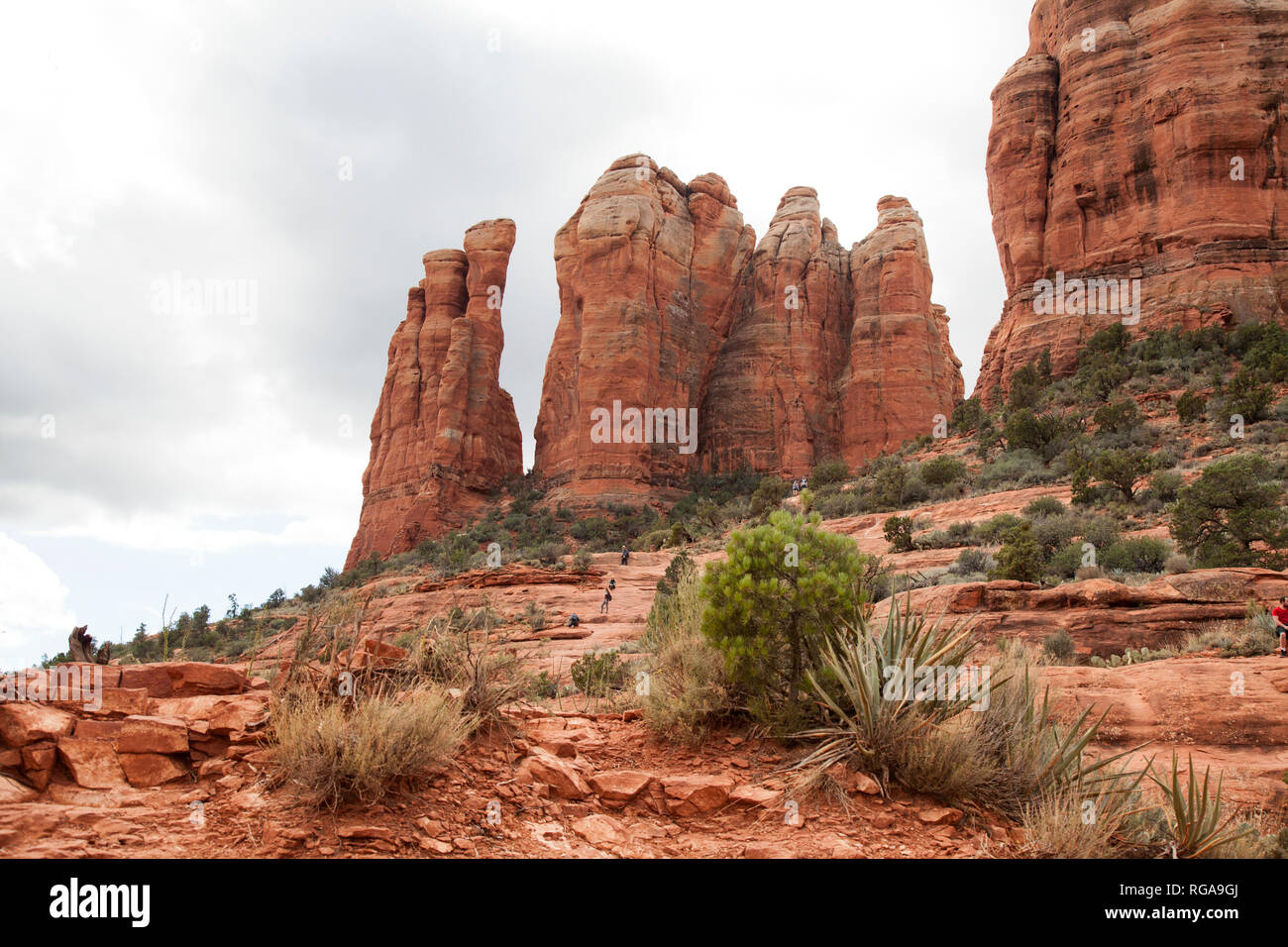 Cattedrale rock trail in Sedona in Arizona Foto Stock