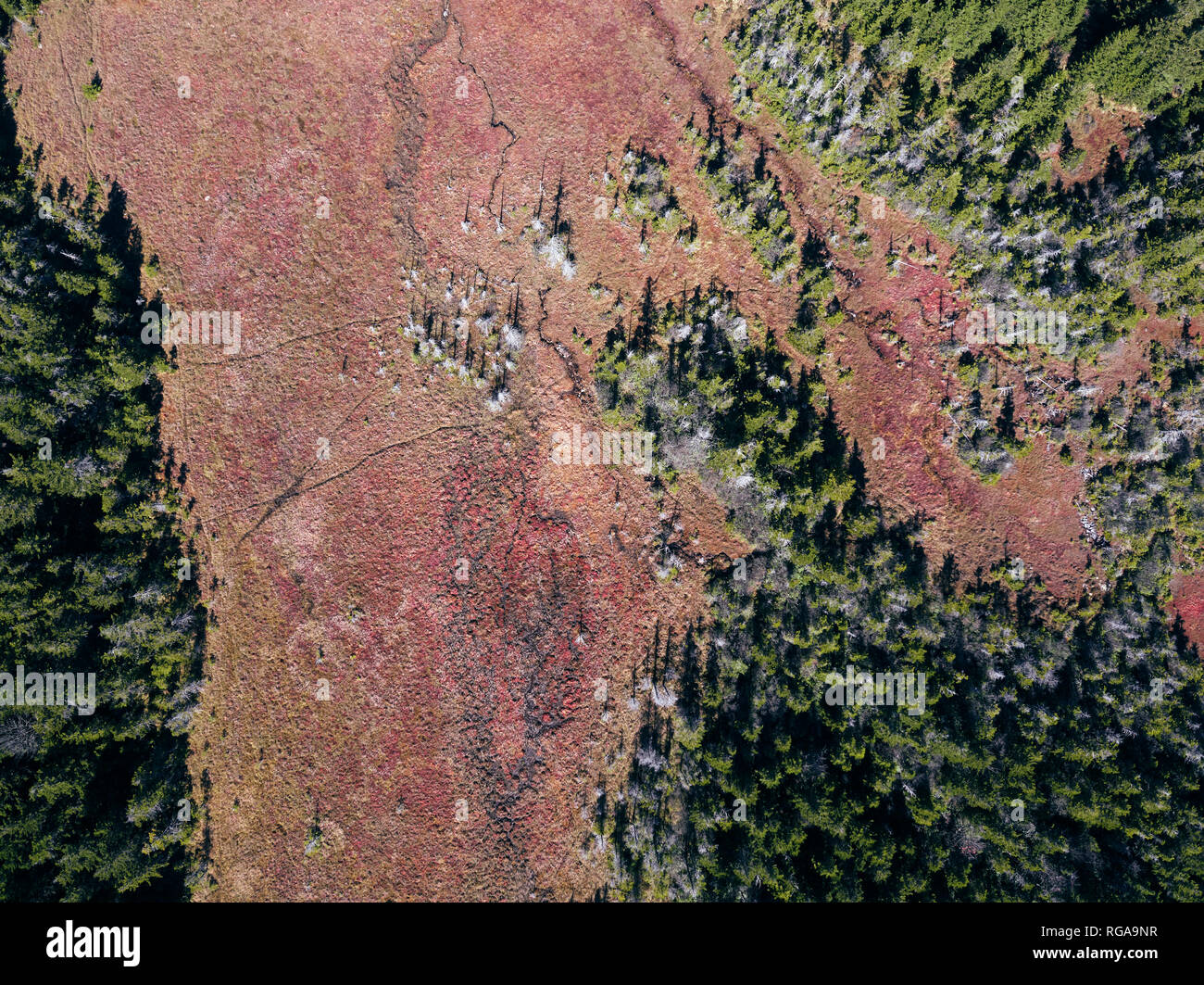 Stati Uniti d'America, West Virginia, vista aerea di Dolly zolle Wilderness area Foto Stock