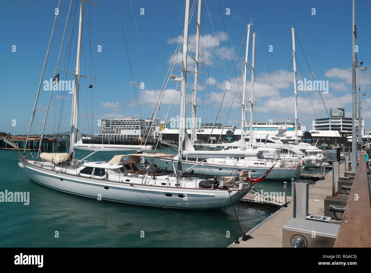 Yacht ormeggiati nel porto di Auckland, Nuova Zelanda Foto Stock