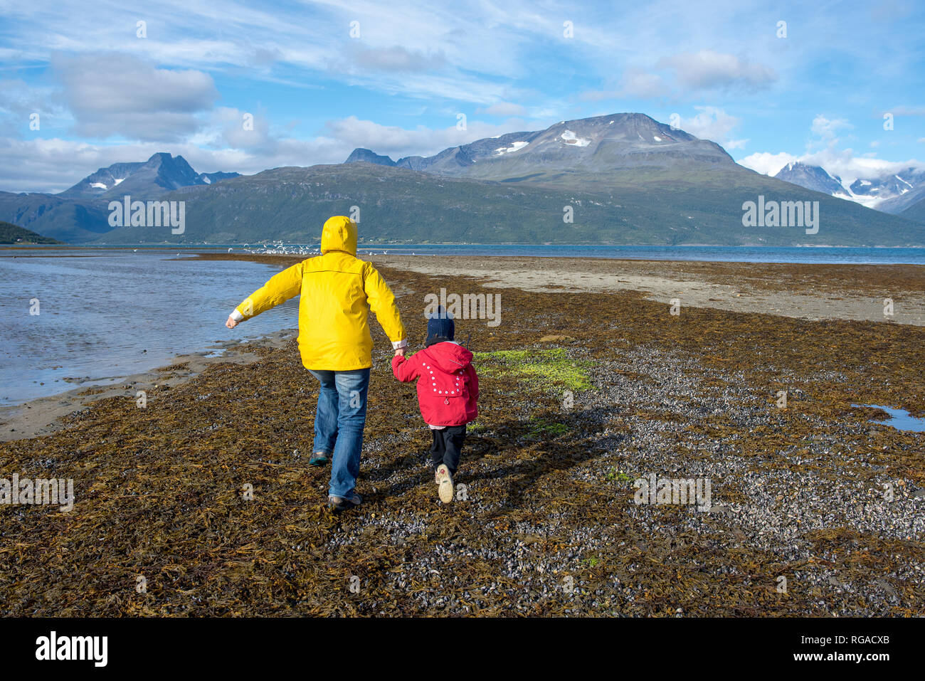 Norvegia, madre e figlia in esecuzione presso la spiaggia, fiordo di Lyngen Foto Stock