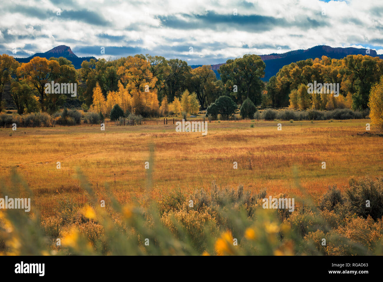Stati Uniti d'America, Utah, Estate Indiana Foto Stock