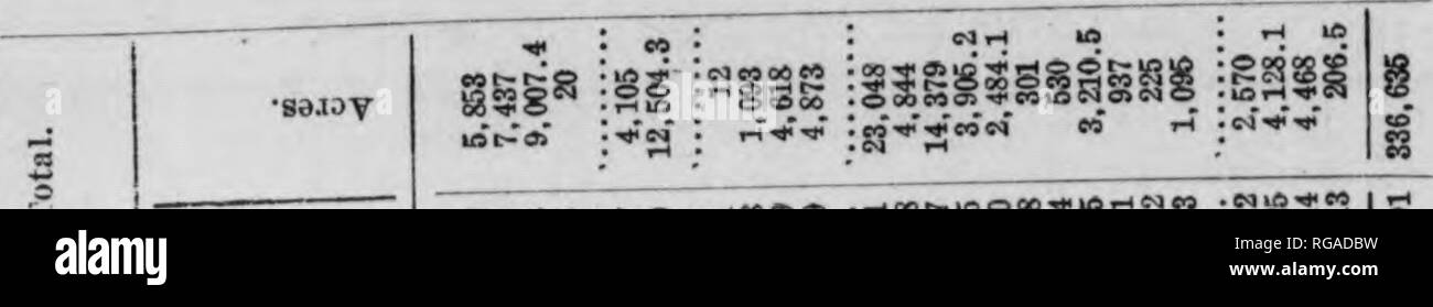 . Bollettino (Pennsylvania Dipartimento di silvicoltura), n. 12-13. Le foreste e la silvicoltura. 110 t. O in modo es un&GT; t: o ef S^- â¢jeqninM â Baaoy â¢aaqmntii SS^"* :^5 r'^*'*^ :aSS Â"SÂ"^53S-Â" :Â 3^?;SIÂ§ Sod â ¢ oo c4 ta " 1mm lÂ"e*fMMi-Io 'M :S â â¢o* S 0 o o --I o &lt; o f-l 09 s â asa^y MrHM â ¢ â ¢ â§ : mali mi^iiis ;lÂ"gSi :lii ; .0^Â", . .O-* .. in, CO id .NO-^WM) -r^^W-S.A.R. . 00 00 -. Â ¢ o t- â ¢ (un 4-&GT; 4l .un uovo  r * p. ? OS 3 rri â ¢ S - a; una ^ S3 Â" ^ X r* ^ * ^ â¢â¢m .tia/ooooo u a Q) *^ &gt;   c 3 CO 09 5S : un . un â ¢ a â ¢ â" o tè Â" o * B S ^ O  fci C 4) .*' âº â . .Â¢â . Â Foto Stock