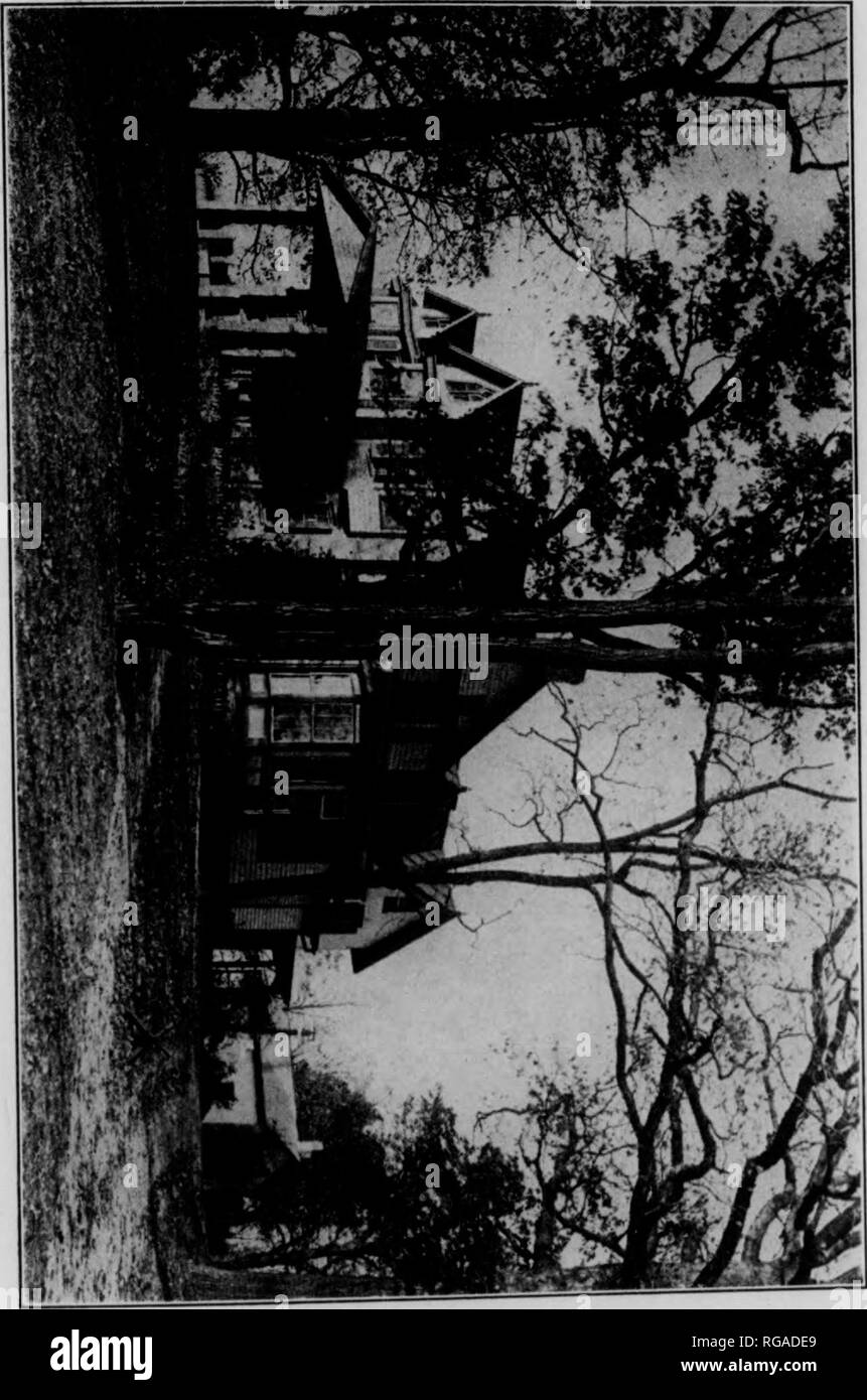 . Bollettino (Pennsylvania Dipartimento di silvicoltura), n. 17-19. Le foreste e la silvicoltura. 8 situazione presenta alcuni svantaggi, pienamente compensato tuttavia da molti vantaggi che lo rendono non solo interessante ma anche conveniente per lo studio degli oggetti e fenomeni di foreste. Esso permette agli studenti di studiare le cose piuttosto che sulle cose. Edifici. Tredici'edifici comprendono il gruppo Accademia. Wiestling Hall, il più antico degli edifici, è una grande a tre piani struc- ture ed era originariamente la residenza del colonnello George B. Wiestling, un membro della prima commissione forestale di Pennsylvan Foto Stock