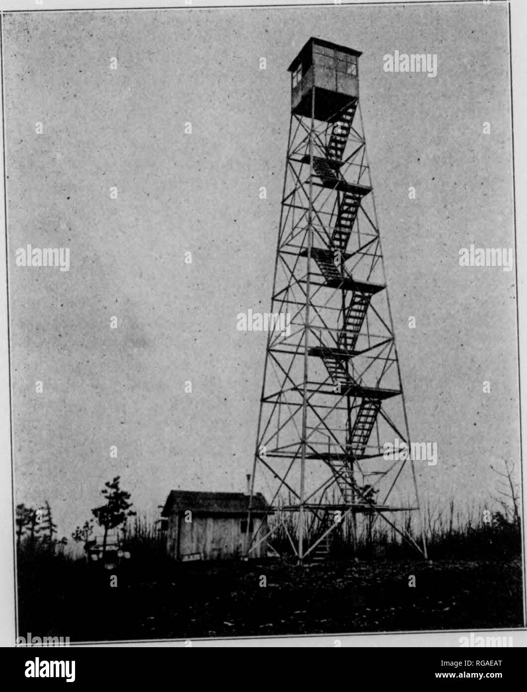 . Bollettino (Pennsylvania Dipartimento delle foreste e delle acque), n. 33-35. Le foreste e la silvicoltura. 32 lem poi è l'istruzione o il problema di controllo indiretto, che mira a ridurre il numero di incendi. ^n organizzazione effluente con adeguata eqmpmen e me hods. ThP terzo fattore del problema è quello delle finanze adeguate e il terzo lactor ox f senza fondi sufBcient, in- Sff^r'^u^rs^htrdSals TfrnishSfu^nds hanno il diritto attHud tote per sMhe fondi necessari non saranno di prossima pubblicazione. Il quarto fattore è quello della cooperazione. Un singolo proprietario di terreni boschivi protegge i beni di sua proprietà ad alta -te per u Foto Stock