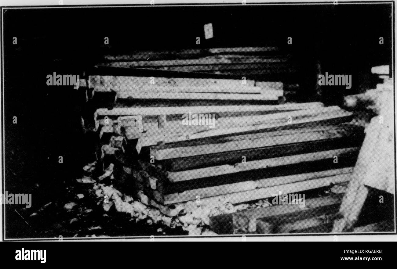 . Bollettino (Pennsylvania Dipartimento di silvicoltura), n. 8-9. Le foreste e la silvicoltura. u s • o 09 X5 d cresciuto in Pennsyl- vania. o H coltivate al di fuori del Penn- sylvania. 0) Co e .d 1,837,500 1,374,500 4i:8.500 177,350 160.000 87.500 37.500 20.000 4,122,850 $30 82 $56,625 27 80 28 38,209 12,255 60 37 95 144 24 22 3,875 250,000 754,500 128,500 36 42 25 OO 35 00 lOO.OO I $29 72 3,187 vOO 700 87.500 17.600 1,587,500 620.000 300.000 160.000 177,350 $122,520 1 1,288,000 20.000 20.000 2,884,850 spazzole. Su "fhor Qtatps nella produzione di blocchi spazzola Pennsylvania supera tutti gli altri membri m me p ^nunn piedi di Foto Stock