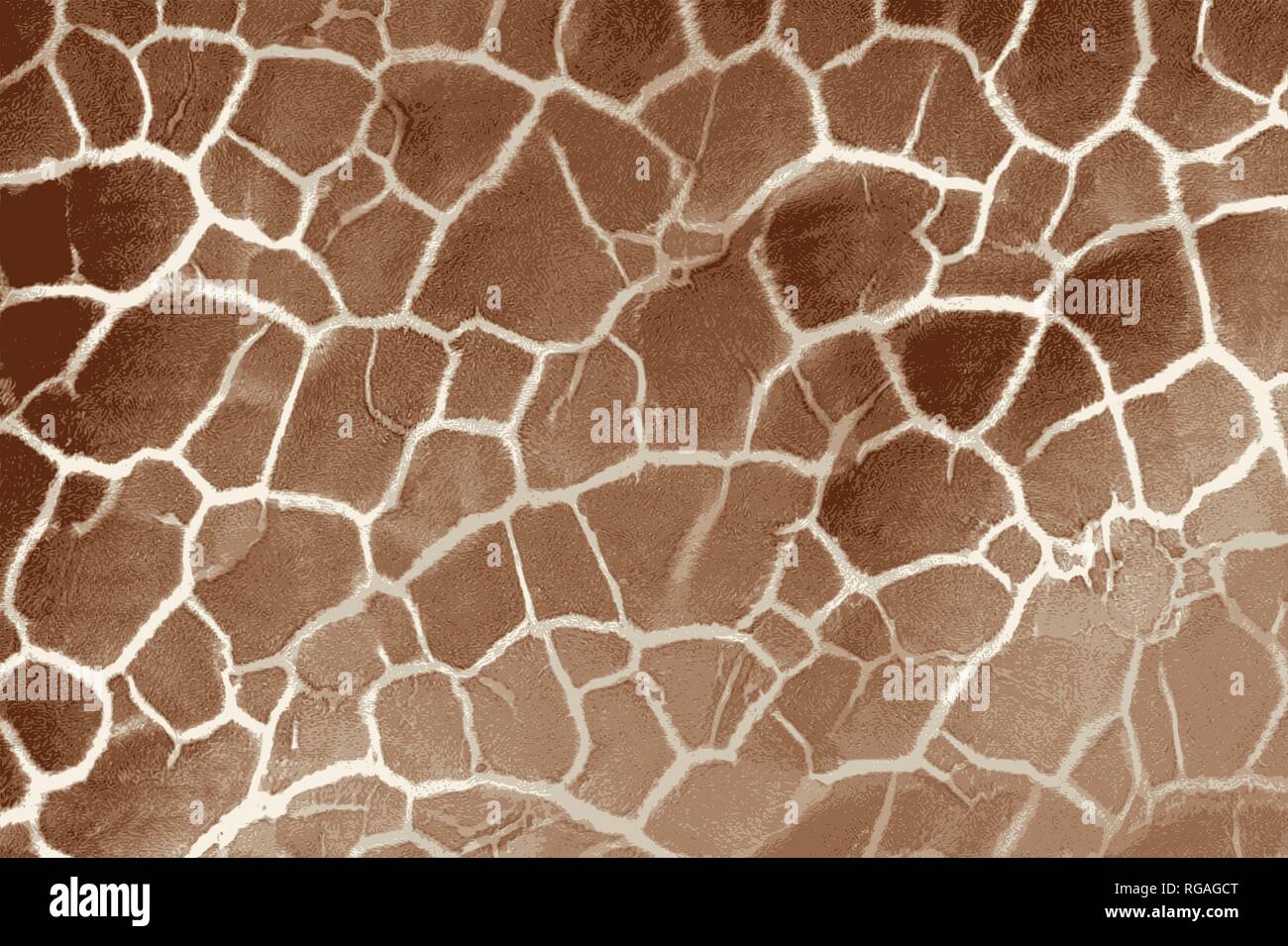 La tessitura di una giraffa di pelle e capelli con pelliccia maculato Foto Stock