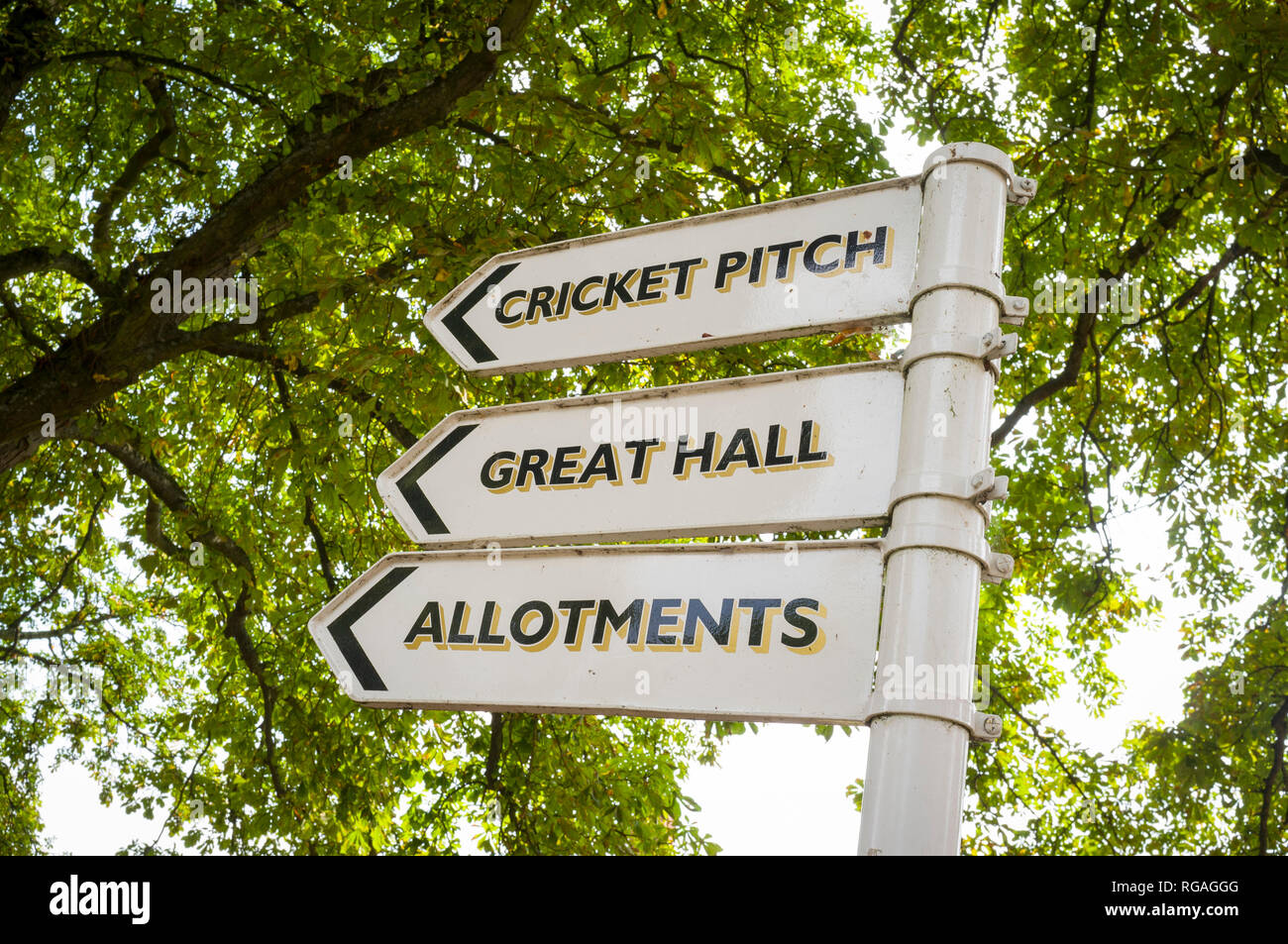 Cartello per il campo da Cricket, grande sala e quote sul Cholsey prati lo sviluppo a Cholsey, Oxfordshire, ex fiera miglio ospedale Foto Stock