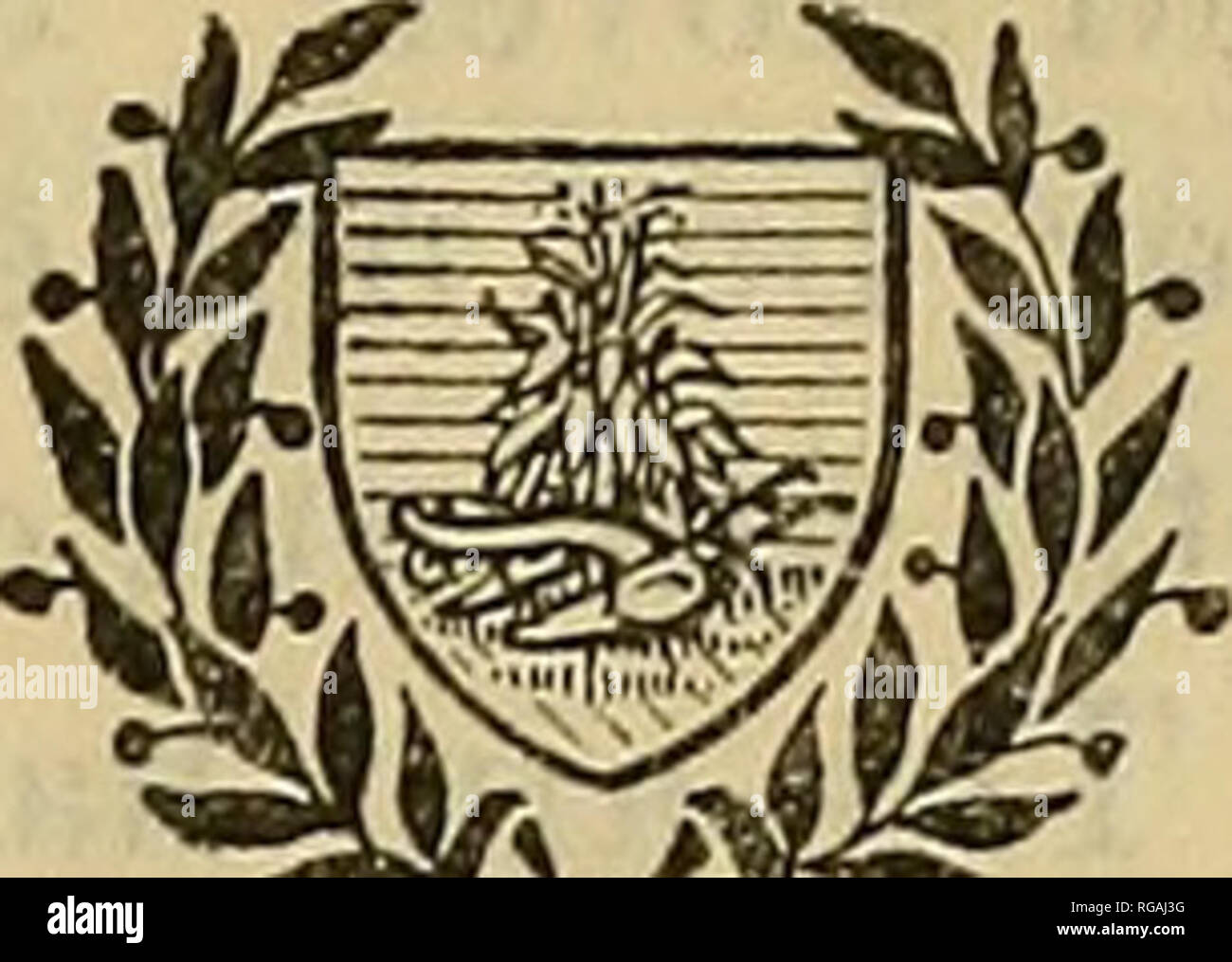 . Bollettino dell'U.S. Dipartimento di Agricoltura. Agricoltura; l'agricoltura. Bollettino n. 945 Contributo da parte dell'Ufficio di presidenza di industria animale John R. MOHLER, Chief. j&amp;y°^(" Washington, D. C. carta professionale maggio 27,1921 l influsso di calcio e di fosforo nel mangime sulla resa di latte di vacche da latte. Da Edwaed B. Meigs, fisiologo, e T. B. Woodward, latteria vignaiolo, Divisione Prodotti lattiero-caseari. Contenuto. Pagina. Le pratiche di prodotti lattiero-caseari presso il governo farm a Beltsville 1 razioni Standard insufficienti per op- timum la resa di latte 3 Natura delle carenze nella routine di razioni alimentari alimentati a Beltsville 5 Discus Foto Stock