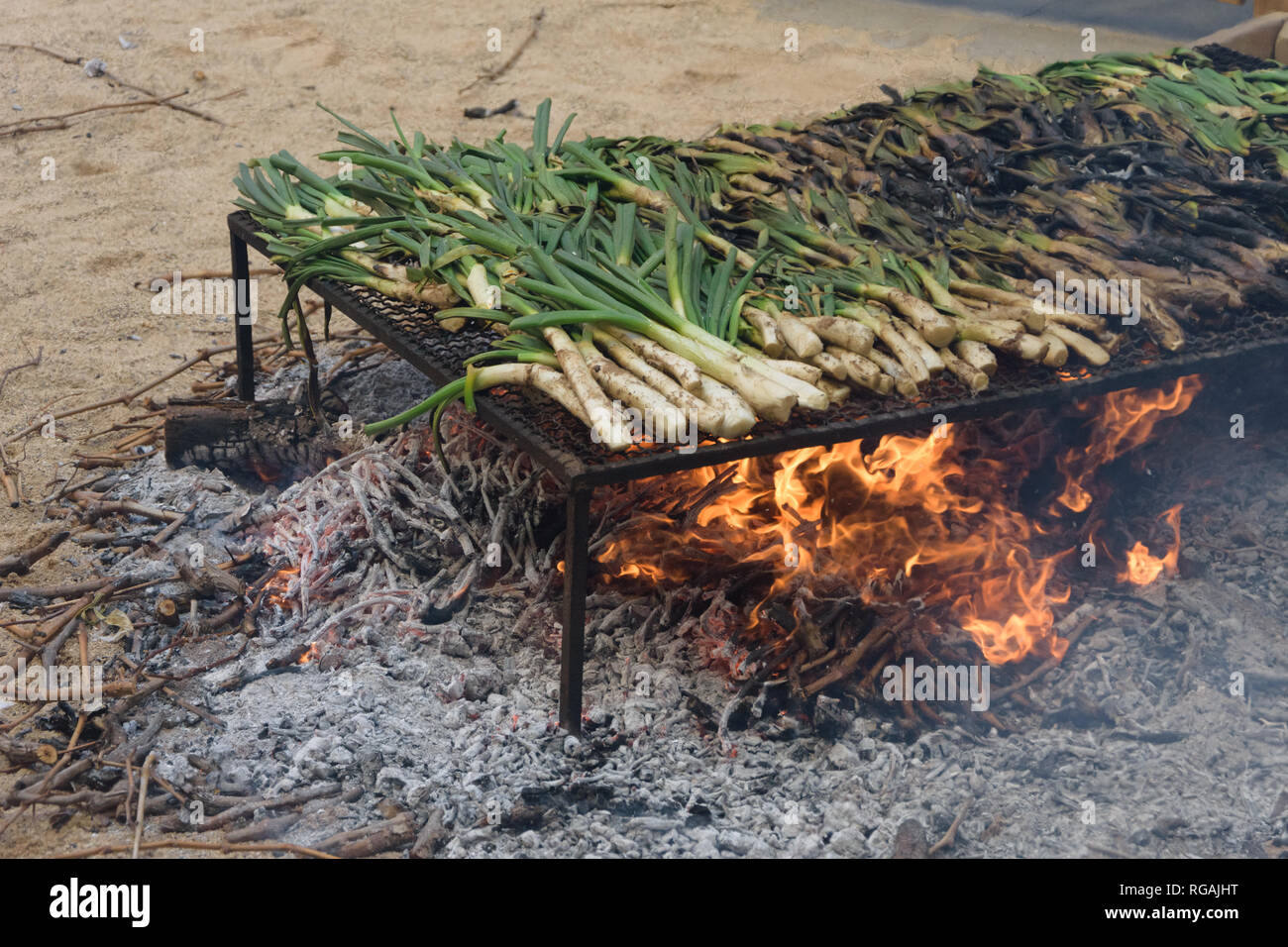 Calçots cuocere al di sopra di un fuoco di legno ad una Calçotada in Valls, Catalogna, Spagna. Foto Stock